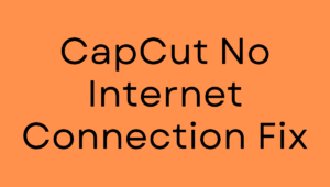 CapCut No Internet Connection